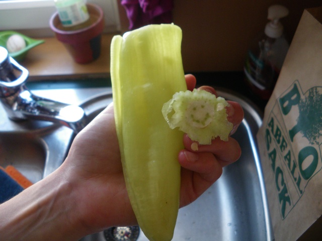 Bildschirmarbeiter - Picdump 16.08.2013