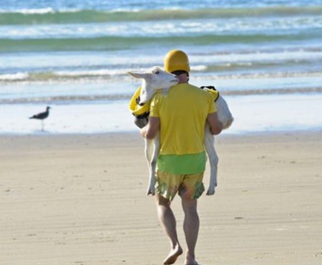 Bildschirmarbeiter - Picdump 23.08.2013