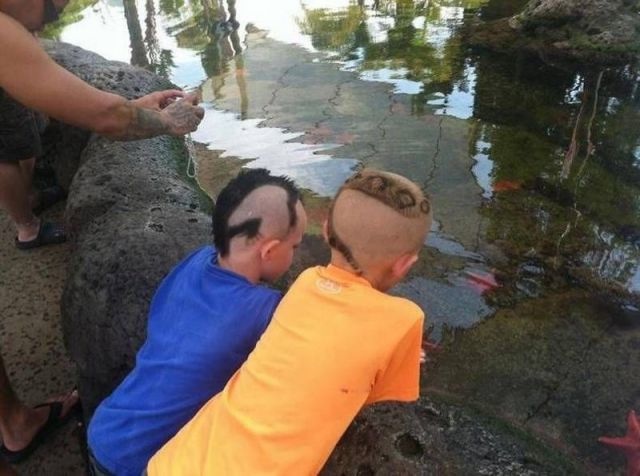 Bildschirmarbeiter - Picdump 23.08.2013