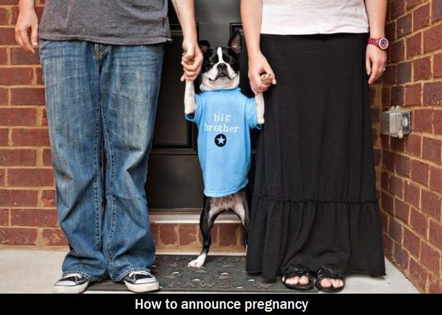 Bildschirmarbeiter - Picdump 23.08.2013