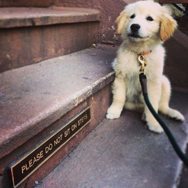 Bildschirmarbeiter - Picdump 23.08.2013