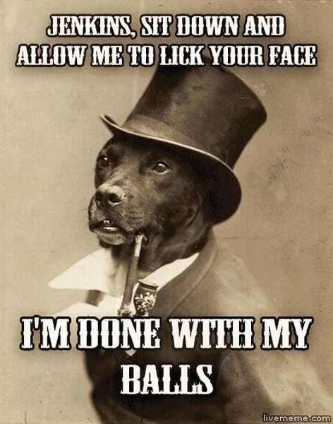 Bildschirmarbeiter - Picdump 23.08.2013