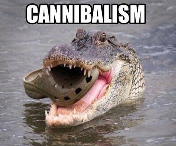 Bildschirmarbeiter - Picdump 23.08.2013