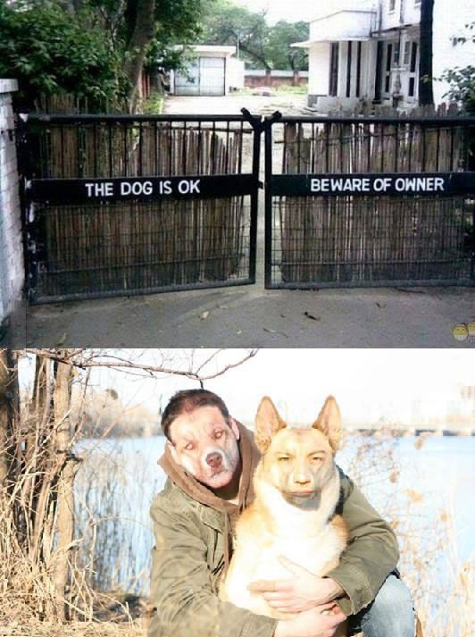 Bildschirmarbeiter - Picdump 23.08.2013