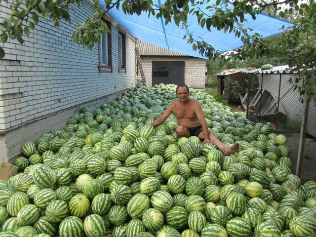 Bildschirmarbeiter - Picdump 23.08.2013