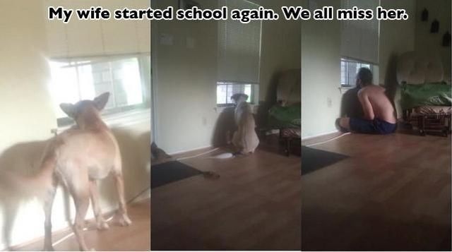 Bildschirmarbeiter - Picdump 30.08.2013