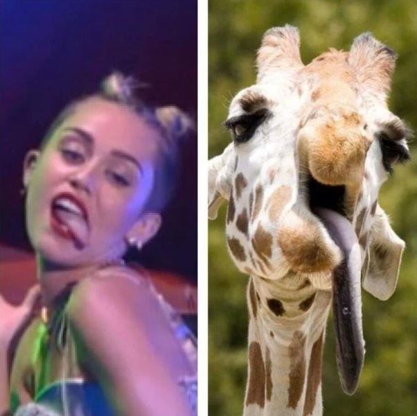 Bildschirmarbeiter - Picdump 30.08.2013