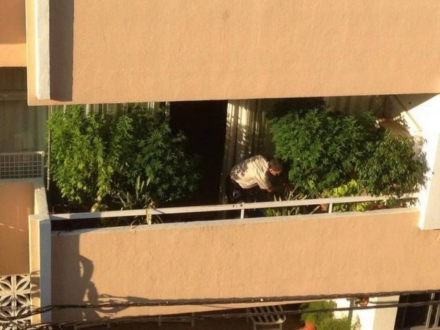 Bildschirmarbeiter - Picdump 30.08.2013