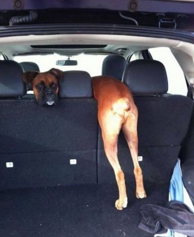 Bildschirmarbeiter - Picdump 30.08.2013