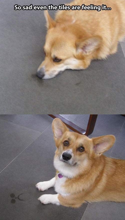 Bildschirmarbeiter - Picdump 30.08.2013