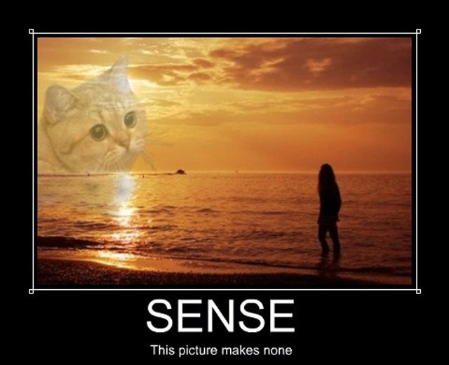 Bildschirmarbeiter - Picdump 30.08.2013