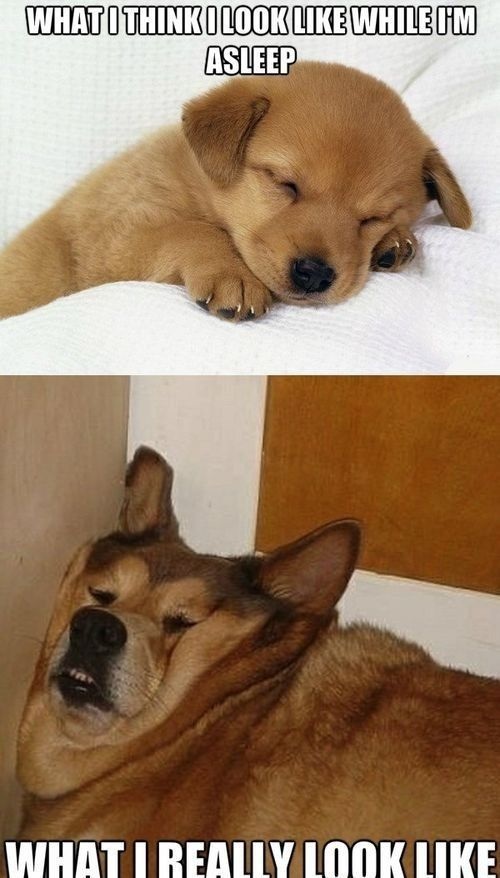 Bildschirmarbeiter - Picdump 30.08.2013