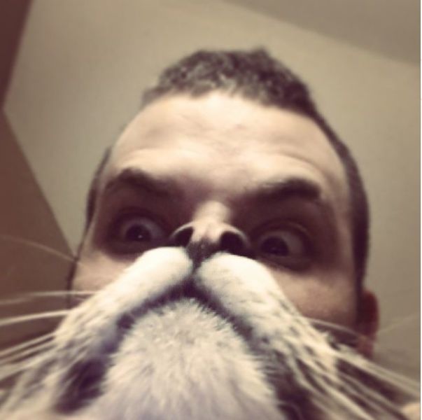 Bildschirmarbeiter - Picdump 06.09.2013