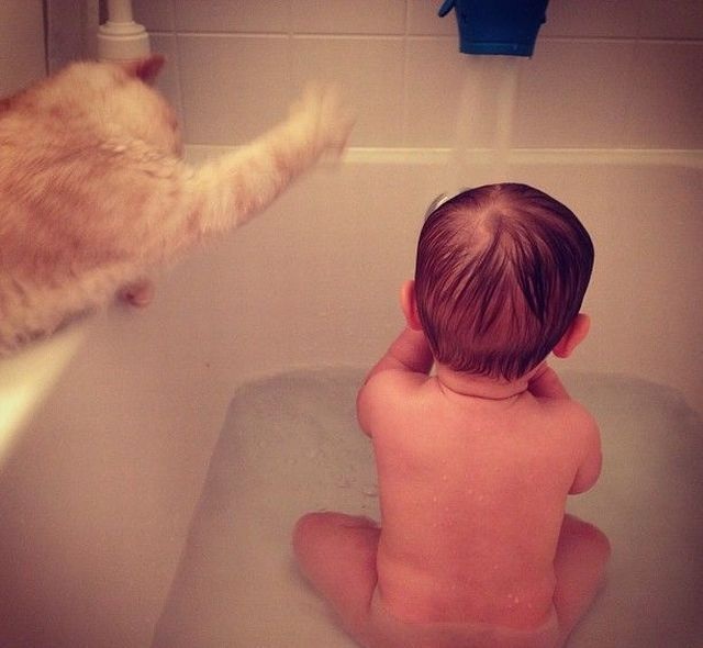 Bildschirmarbeiter - Picdump 06.09.2013