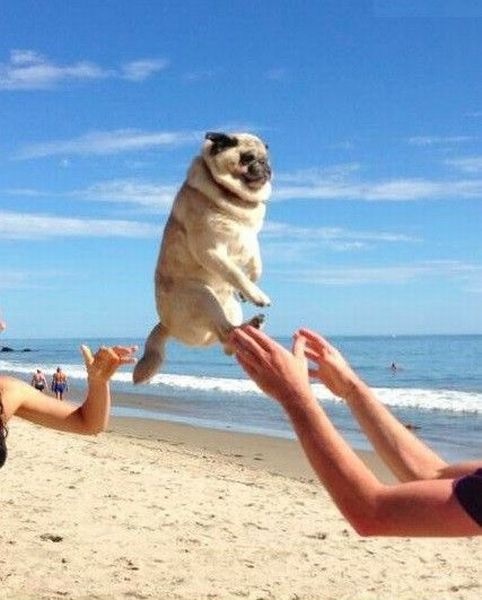 Bildschirmarbeiter - Picdump 06.09.2013