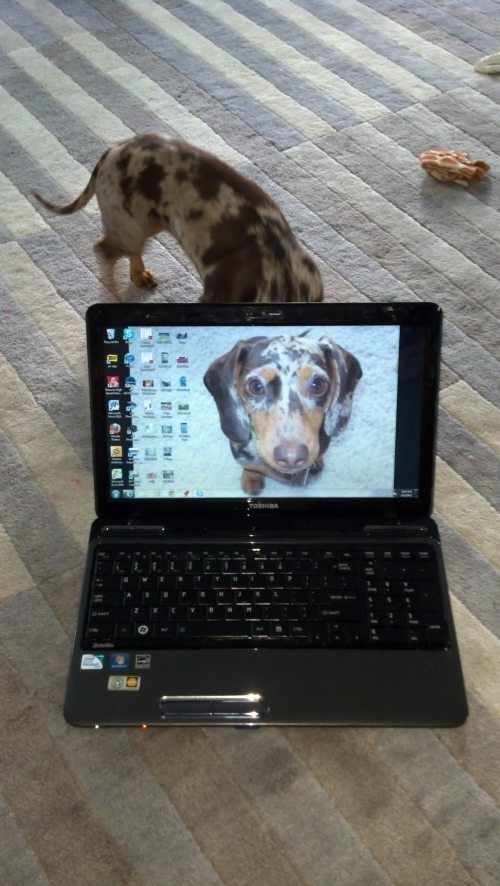 Bildschirmarbeiter - Picdump 06.09.2013