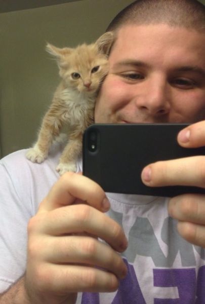 Bildschirmarbeiter - Picdump 13.09.2013