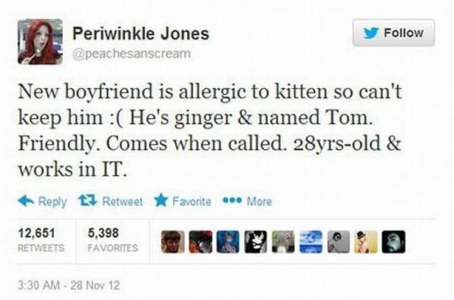 Bildschirmarbeiter - Picdump 13.09.2013