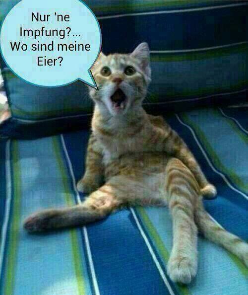 Bildschirmarbeiter - Picdump 13.09.2013