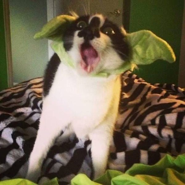 Bildschirmarbeiter - Picdump 13.09.2013