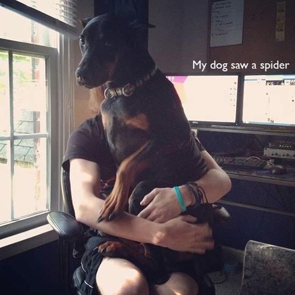 Bildschirmarbeiter - Picdump 13.09.2013