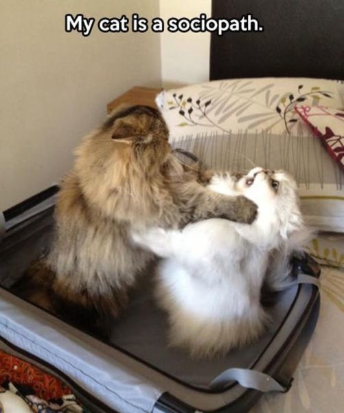 Bildschirmarbeiter - Picdump 13.09.2013