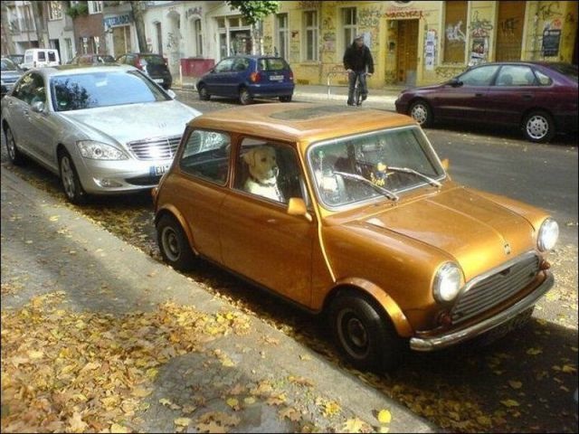 Bildschirmarbeiter - Picdump 13.09.2013