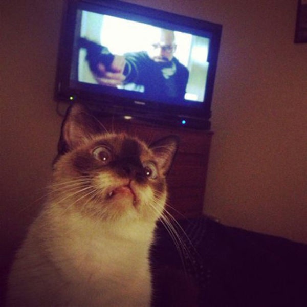 Bildschirmarbeiter - Picdump 20.09.2013