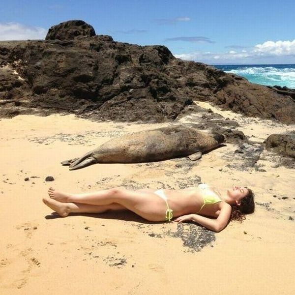 Bildschirmarbeiter - Picdump 20.09.2013