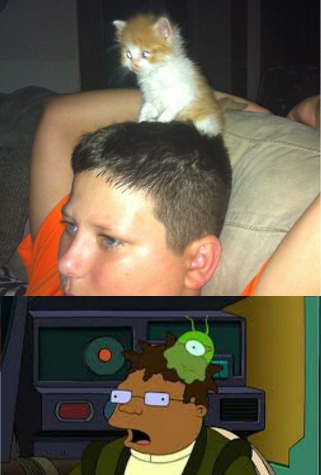 Bildschirmarbeiter - Picdump 20.09.2013