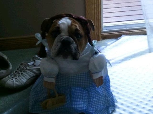 Bildschirmarbeiter - Picdump 27.09.2013