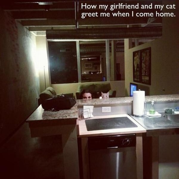 Bildschirmarbeiter - Picdump 27.09.2013