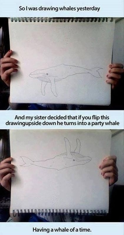 Bildschirmarbeiter - Picdump 27.09.2013