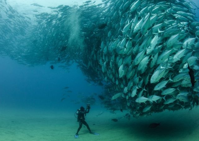 Bildschirmarbeiter - Picdump 27.09.2013