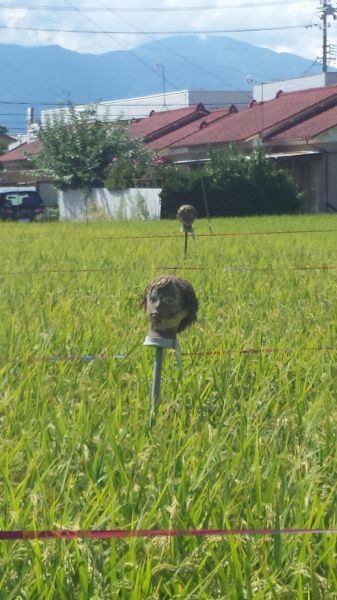 Bildschirmarbeiter - Picdump 27.09.2013