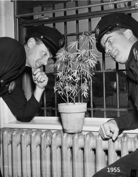 Bildschirmarbeiter - Picdump 27.09.2013