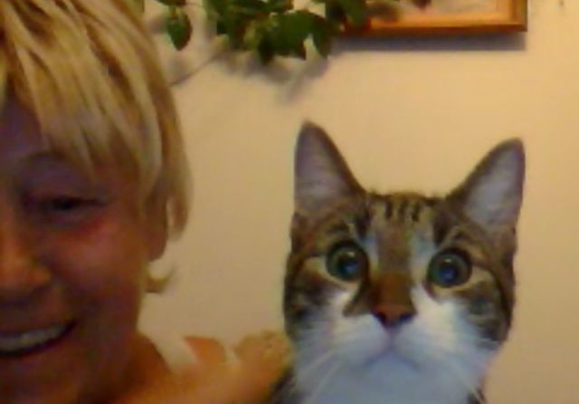 Bildschirmarbeiter - Picdump 04.10.2013