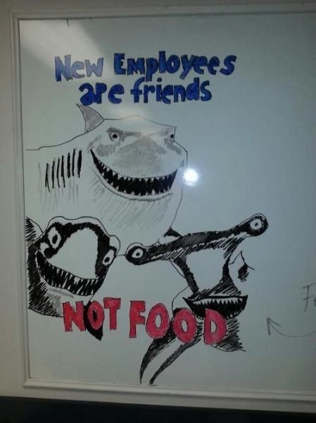 Bildschirmarbeiter - Picdump 04.10.2013