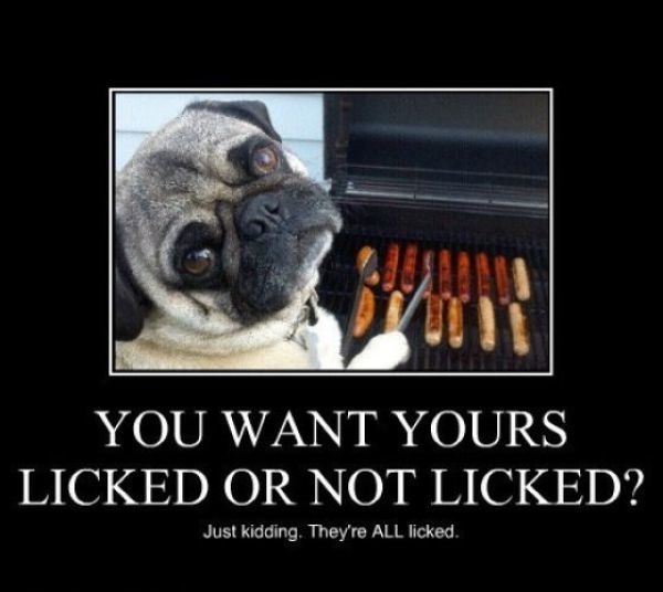 Bildschirmarbeiter - Picdump 04.10.2013