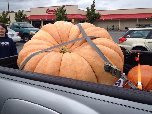 Bildschirmarbeiter - Picdump 04.10.2013