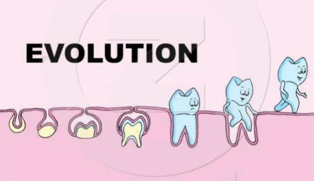 Bildschirmarbeiter - Picdump 11.10.2013