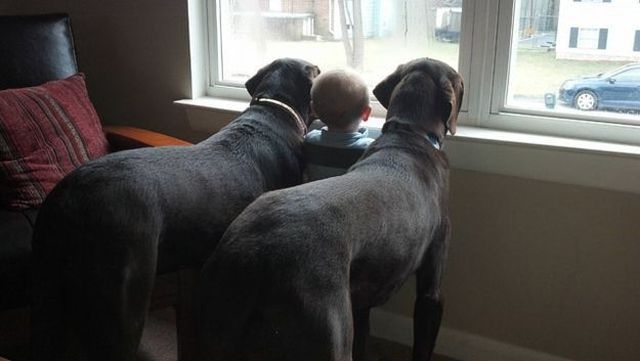 Bildschirmarbeiter - Picdump 11.10.2013