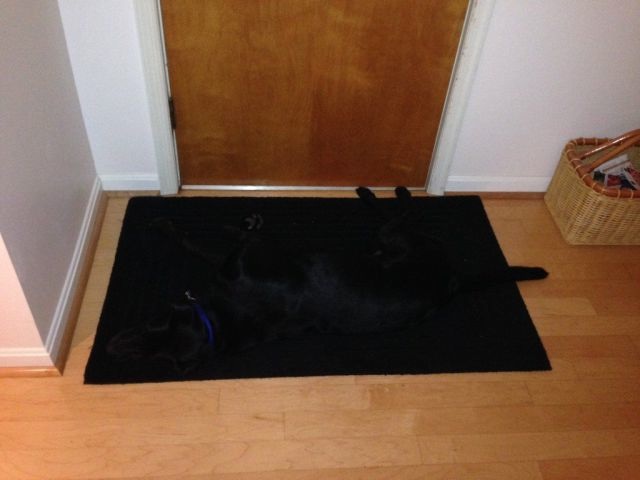 Bildschirmarbeiter - Picdump 11.10.2013