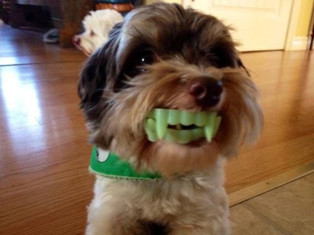 Bildschirmarbeiter - Picdump 11.10.2013