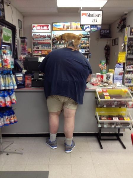 Bildschirmarbeiter - Picdump 11.10.2013