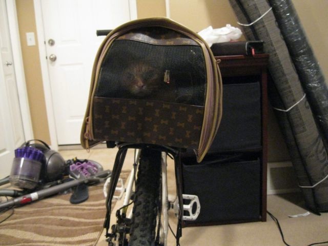 Bildschirmarbeiter - Picdump 11.10.2013