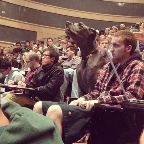 Bildschirmarbeiter - Picdump 11.10.2013