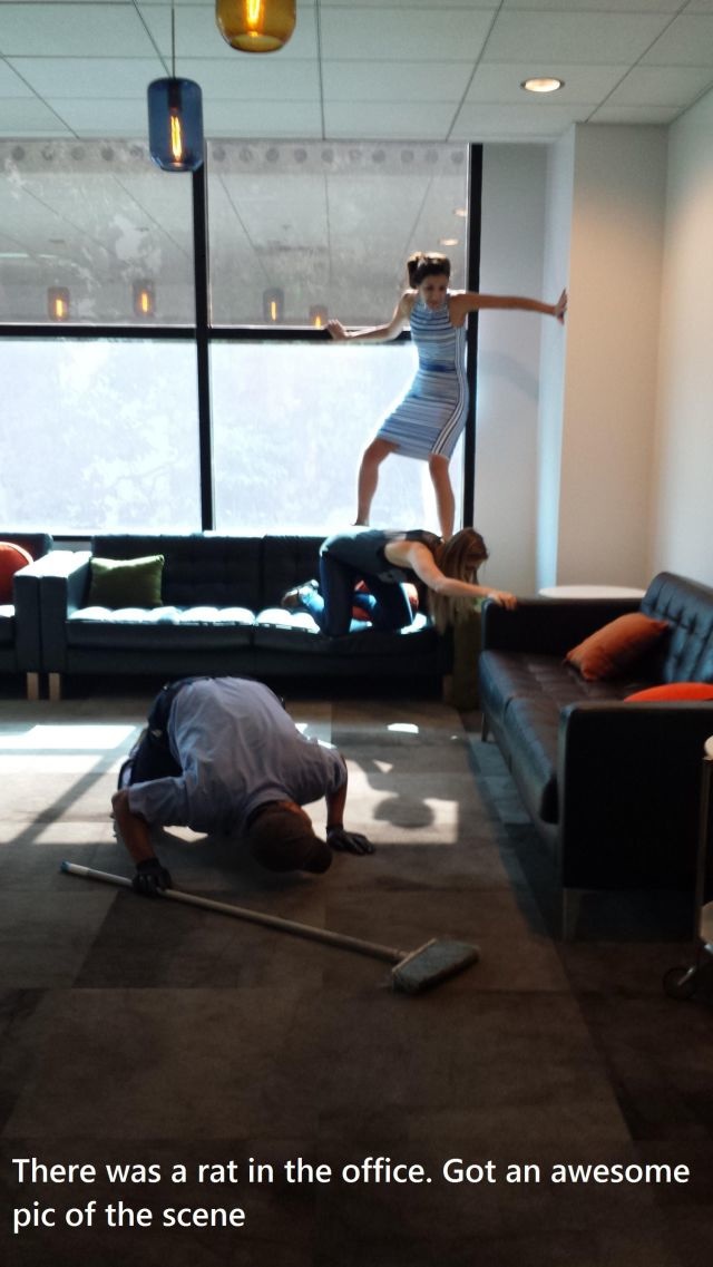 Bildschirmarbeiter - Picdump 11.10.2013