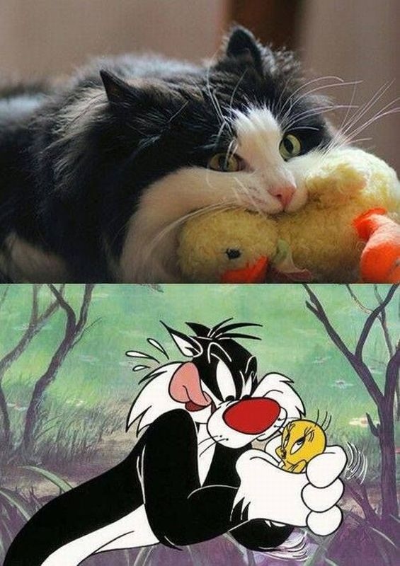 Bildschirmarbeiter - Picdump 11.10.2013