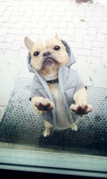 Bildschirmarbeiter - Picdump 25.10.2013